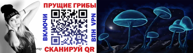 купить наркотик Семёнов Галлюциногенные грибы Psilocybine cubensis